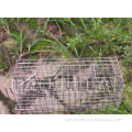 stainless steel rat trap